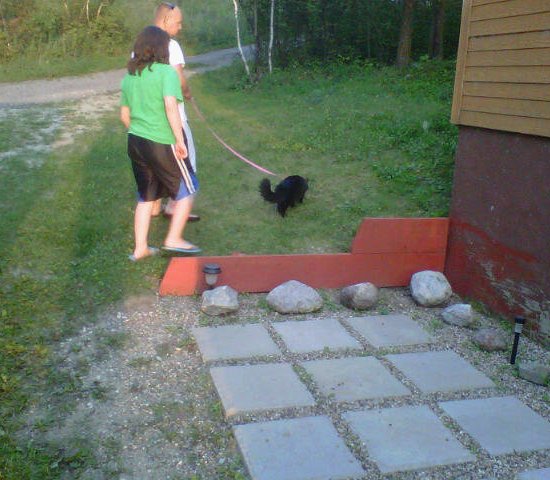 Taking Tonks for a walk