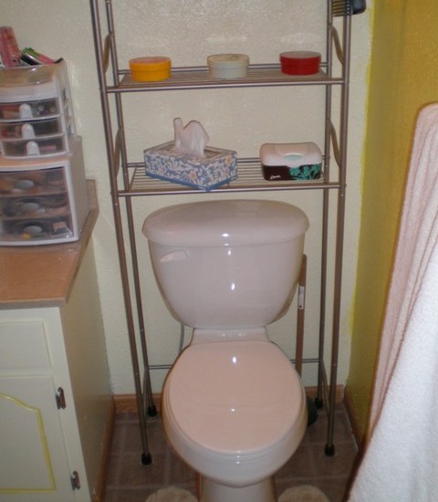 New toilet and baker's rack