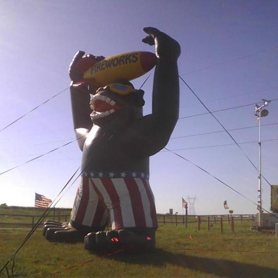 Gorilla at the fireworks store