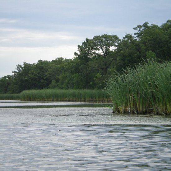 Kayaking Lake Renwick
