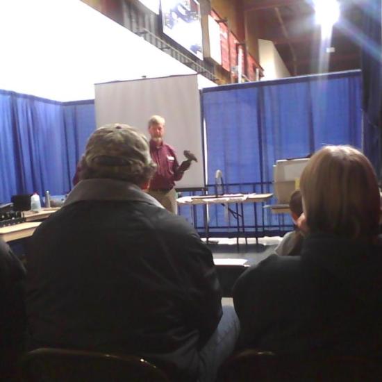 Boo - western screech owl