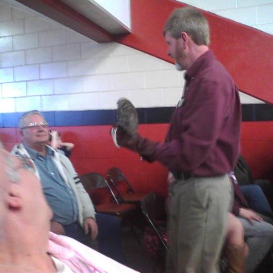 Boo - western screech owl