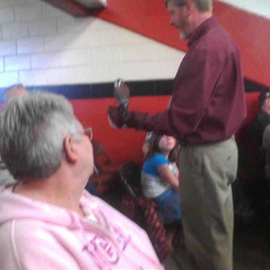 Hendrix - american kestrel