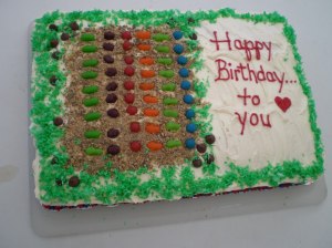 Birthday cake Julie made