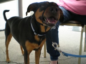Jack smiling